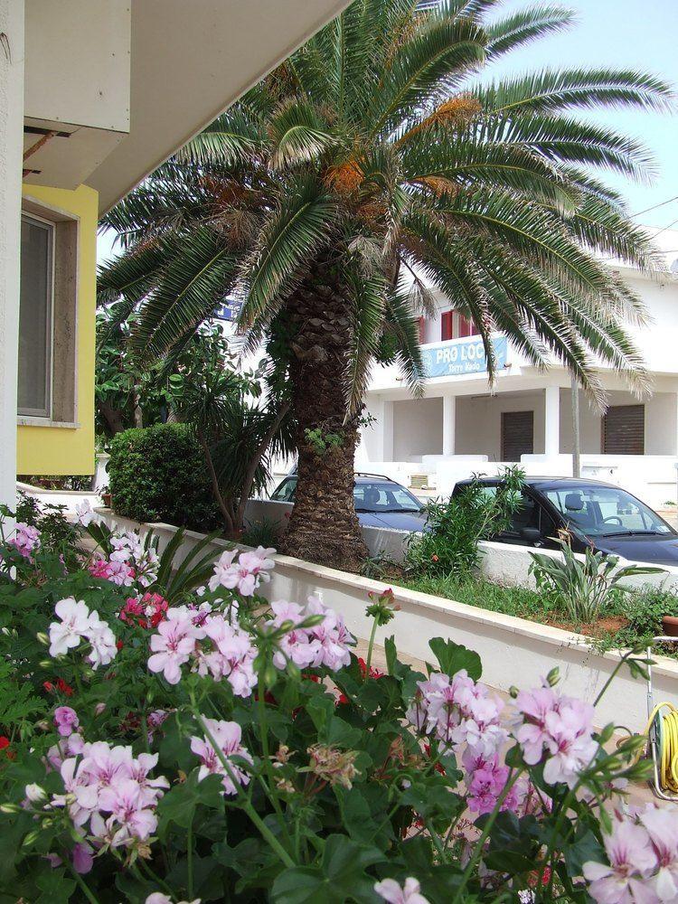 Hotel Albatros Torre Vado Exterior photo